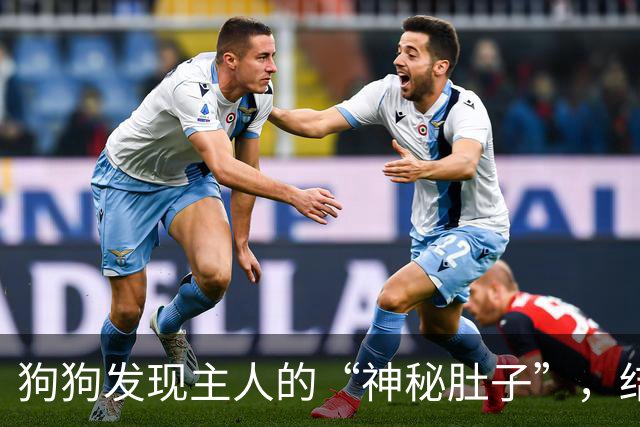 狗狗发现主人的“神秘肚子”，结果太搞笑了！
